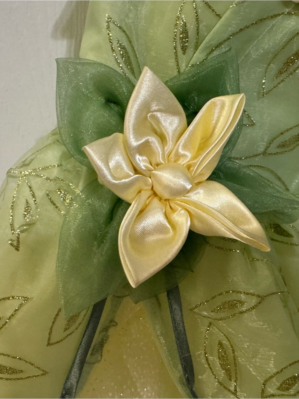 Disney Princess & the Frog- Green and Yellow Princess Dress - Picture 7 of 9